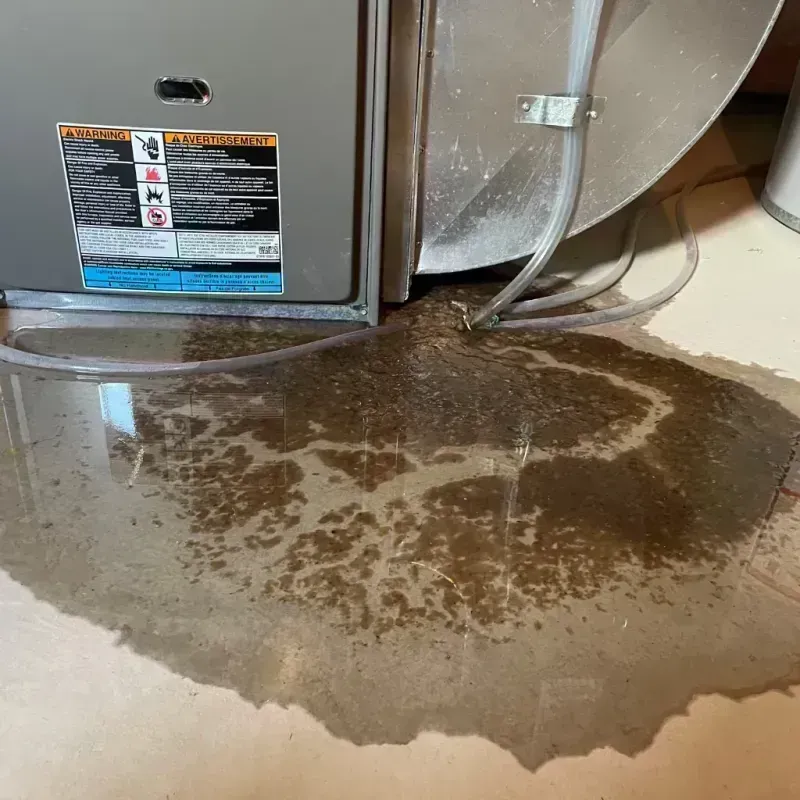 Appliance Leak Cleanup in Crystal City, MO